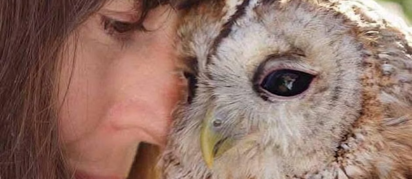 Conversations with owls 